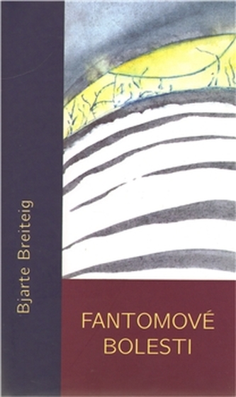 Fantomové bolesti