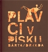 Obrázek