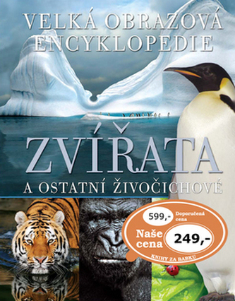Zvířata a ostatní živočichové Zvířata a ostatní živočichové