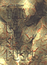 Obrázek