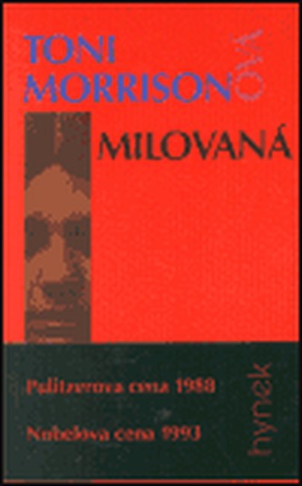 Wittgenstein - úděl génia