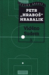 Obrázek