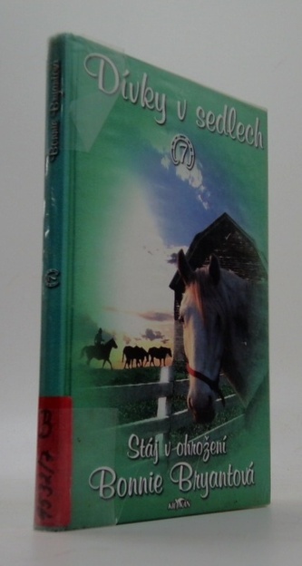 Dívky v sedlech 7. - Stáj v ohrožení