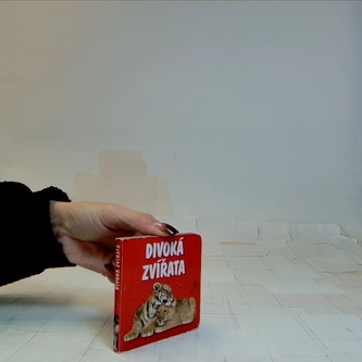 Divoká zvířata