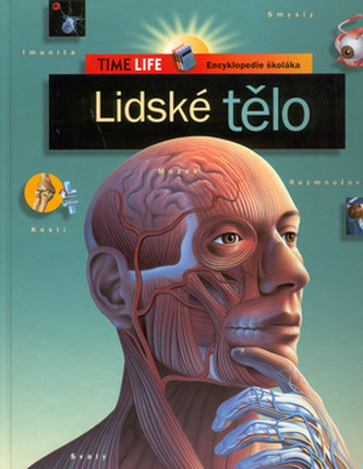 Lidské tělo Lidské tělo