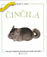 Činčila