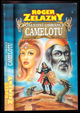 Poslední obránce camelotu