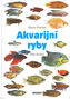 Akvarijní ryby : 500 druhů