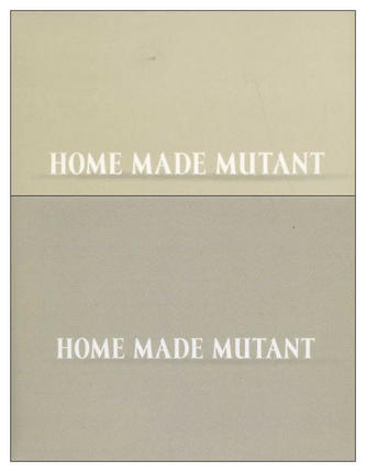 Home Made Mutant Pitbull Report