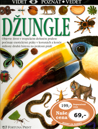 Džungle