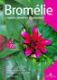 Bromélie