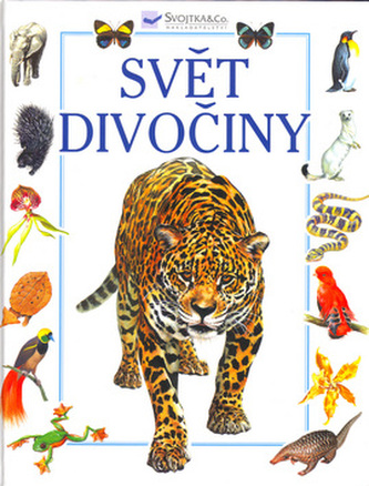 Svět divočiny