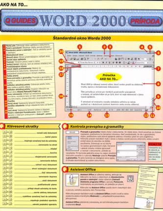 Word 2000