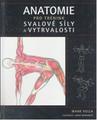 Anatomie pro trénink svalové síly a vytrvalosti