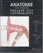 Anatomie pro trénink svalové síly a vytrvalosti