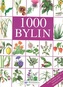 1000 bylin