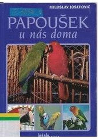 Papoušek u nás doma