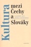 Kultura mezi Čechy a Slováky
