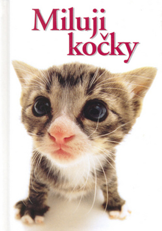 Miluji kočky Miluji kočky