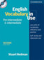 English Vocabulary in Use: Pre-Intermediate and Intermediate: Edition with answers and CD-ROM Pack