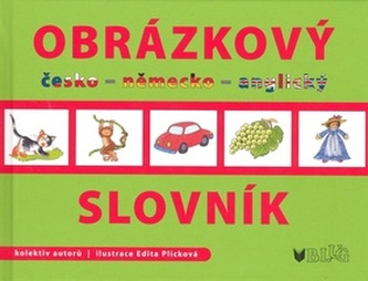 Obrázkový slovník anglicky česky něměcky