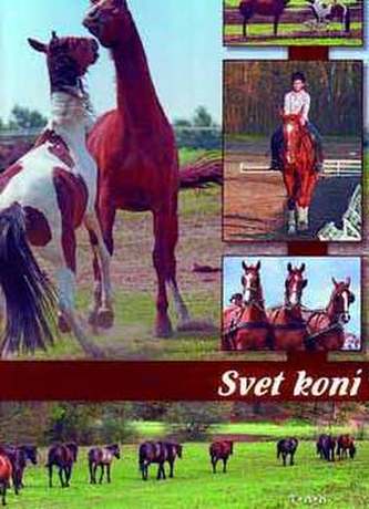 Svet koní