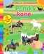 Poníky a kone