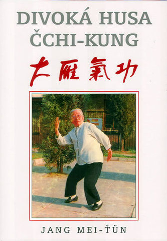 Divoká husa Čchi-kung