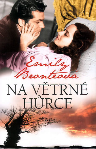 Na větrné hůrce