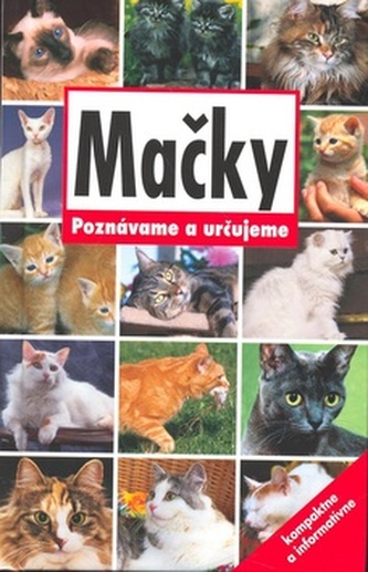 Mačky