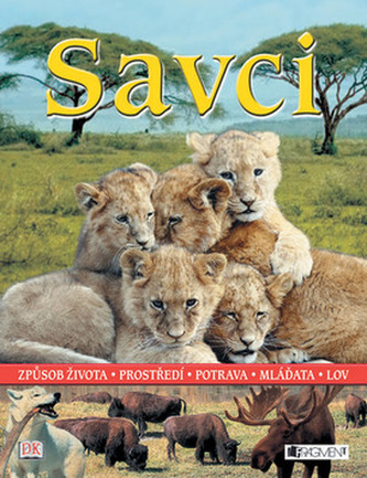 Savci