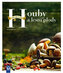 Houby a lesní plody
