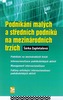 Podnikání malých a středních podniků na mezinárodních trzích