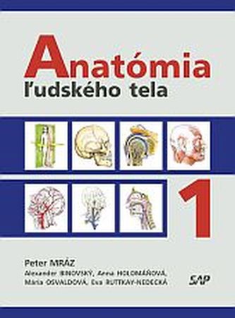 Anatómia ľudského tela I.