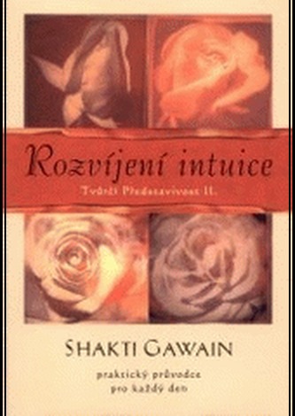 Rozvíjení intuice