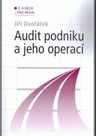 BP 42 Audit podniku a jeho operací