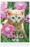 Kittens - nástenný kalendář 2016