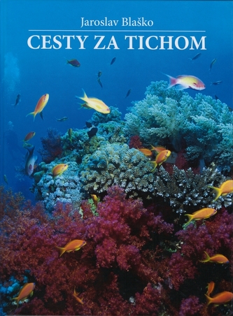 Cesty za tichom