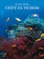 Cesty za tichom
