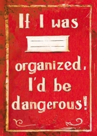 Sešit - If I was organized, I'd be dangerous!
