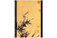 Zápisník - Bamboo, ultra 180x230