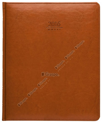 Diář 2016 Kastor prezident