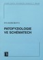 Patofyziologie ve schématech