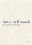 Antonín Brousek: Básnické dílo