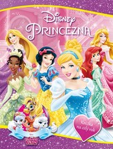 Princezna - Knížka na celý rok 2016