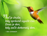 Obrázek knihy