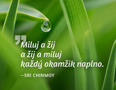Obrázek knihy