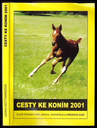 Cesty ke koním 2003