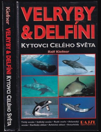 Velryby a delfíni