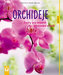 Orchideje - Exoty pro snadné pěstování v bytě